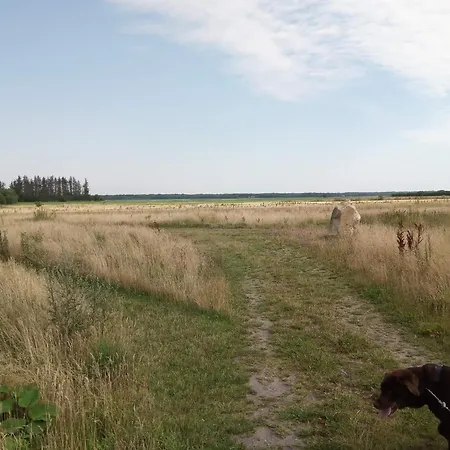 6 Person In Storvorde